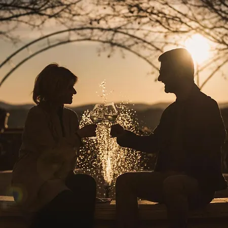 Palazzo Ravizza فندق سيينا