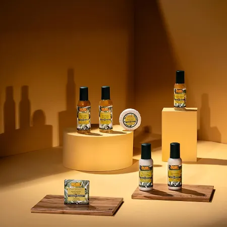 فندق Palazzo Ravizza 3*